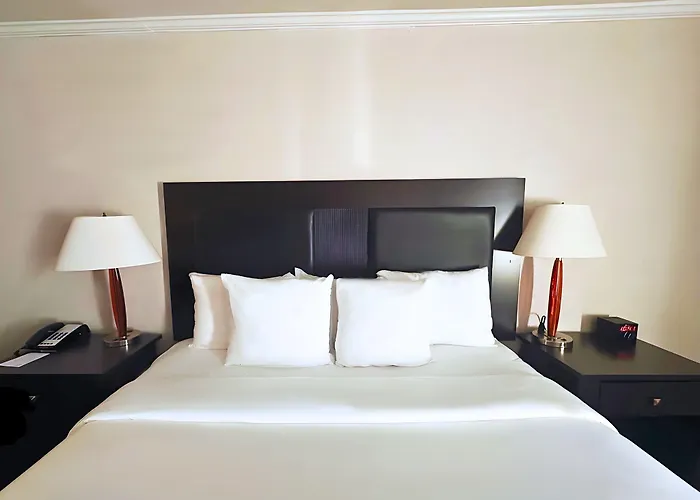 Quality Worth - Downtown East 2*